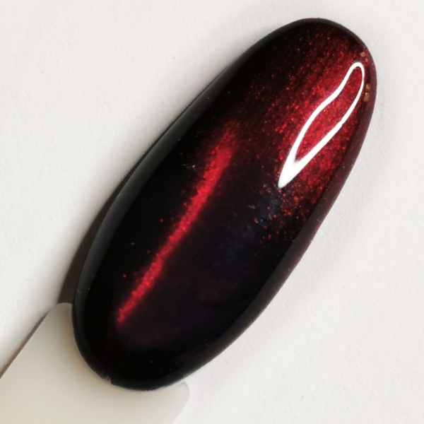gel-polish-didier-lab-cat-eye-no2 (1)